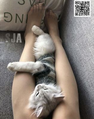 萌宝联盟：千亿爹地快投降-日韩资源成人直接看