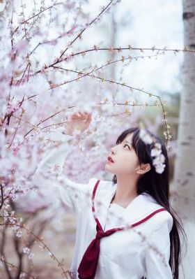 不良县令-蓝光免费播放
