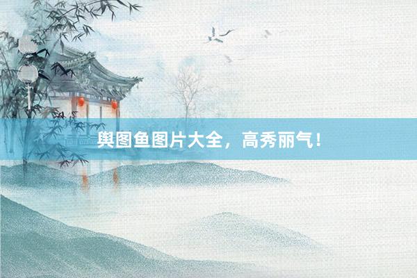 舆图鱼图片大全，高秀丽气！